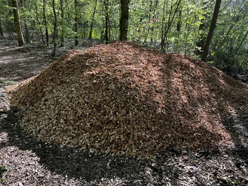 Vita Parcours Instandstellung Samstag, 13.4.24